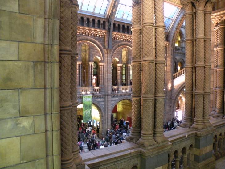  vue depuis une des galeries supérieures du museum